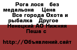 Рога лося , без медальона. › Цена ­ 15 000 - Все города Охота и рыбалка » Другое   . Ненецкий АО,Нижняя Пеша с.